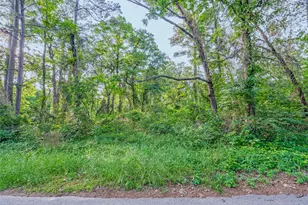 7631 Forest Hill Dr, Frankston, TX 75763 - Photo 6