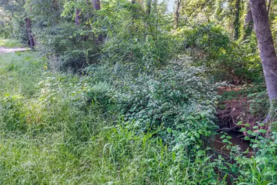 7631 Forest Hill Drive, Frankston, TX 75763 - Photo 2