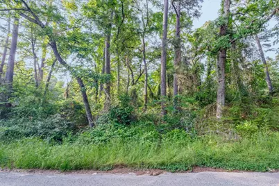 00 Forest Hill Drive, Frankston, TX 75763 - Photo 2