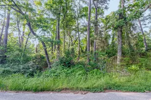 00 Forest Hill Dr, Frankston, TX 75763 - Photo 2