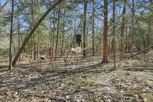 760 Rs County Rd 3160, Emory, TX 75440 - Photo 20