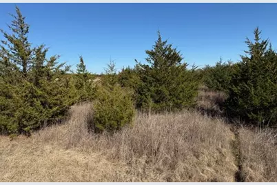 Lot 3 Cr 43380, Paris, TX 75462 - Photo 2