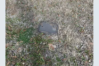 632 E Reindeer Road, Lancaster, TX 75146 - Photo 22