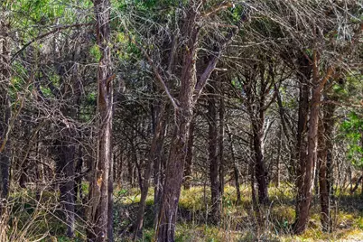 Tbd Fm Rd 2965, Wills Point, TX 75169 - Photo 16