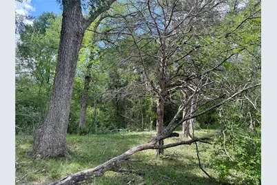 12335A County Road 4230, Purdon, TX 76679 - Photo 34