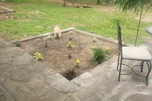 4415 Smallwood Rd, Reno, TX 75462 - Photo 34