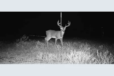 Tbd Fm 3206, Saint Jo, TX 76265 - Photo 18