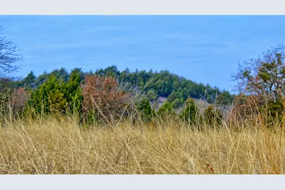 Tbd Fm 3206, Saint Jo, TX 76265 - Photo 8