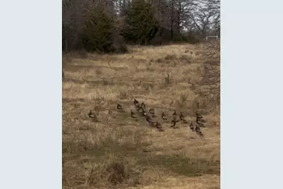 Tbd Fm 3206, Saint Jo, TX 76265 - Photo 16