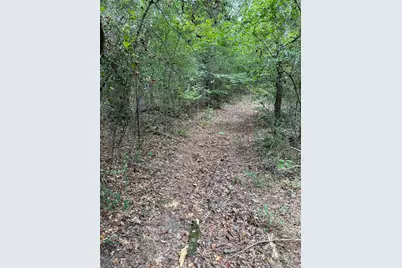 99999 Cr 207, Centerville, TX 75833 - Photo 4