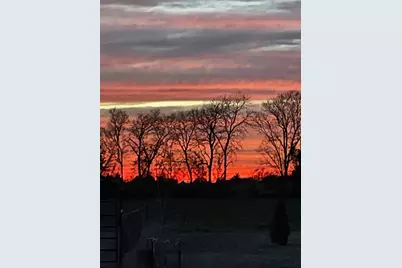 7844 County Road 502, Blue Ridge, TX 75424 - Photo 36