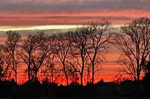 7844 Co Rd 502, Blue Ridge, TX 75424 - Photo 36