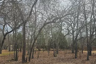 3347 Bandera St, Athens, TX 75752 - Photo 16