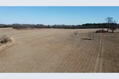 1223 County Road 1236, Quitman, TX 75783 - Photo 22