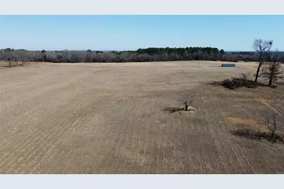 1223 County Road 1236, Quitman, TX 75783 - Photo 6