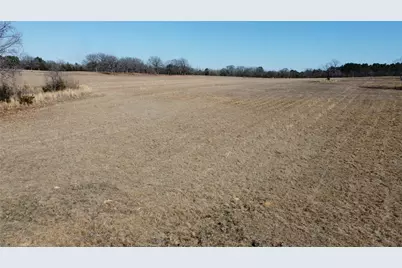 1223 County Road 1236, Quitman, TX 75783 - Photo 8