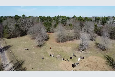 605 County Road 2100, Quitman, TX 75783 - Photo 6