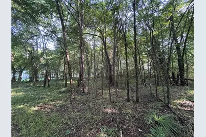 1586 Fm 2324, Emory, TX 75440 - Photo 4