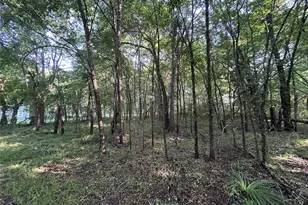 1586 Fm 2324, Emory, TX 75440 - Photo 4