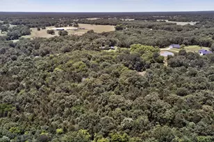1586 Fm 2324, Emory, TX 75440 - Photo 10