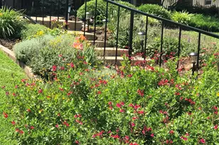 1118 Berkshire Ct, Trophy Club, TX 76262 - Photo 4