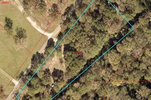 1332 Rs County Road 2570, Alba, TX 75410 - Photo 1