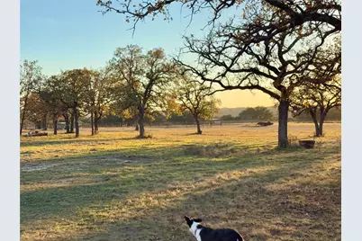 Tbd County Road 218, Hico, TX 76457 - Photo 16