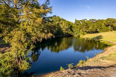 7991 Fm 314, Ben Wheeler, TX 75754 - Photo 22