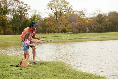 120 Bay Laurel Road, McKinney, TX 75071 - Photo 8