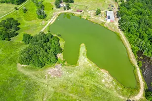 2711 Fm 250 N, Hughes Springs, TX 75656 - Photo 28