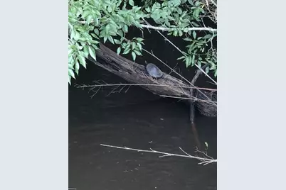 Tbd Aster Road, Gilmer, TX 75644 - Photo 2