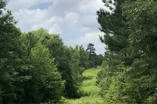 Tbd Aster Rd, Gilmer, TX 75644 - Photo 1