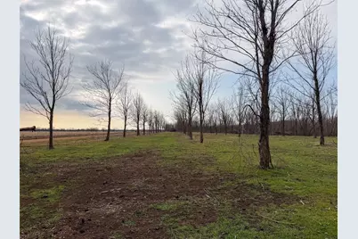 Tbd Butler Pool Rd, Idabel, OK 74745 - Photo 6