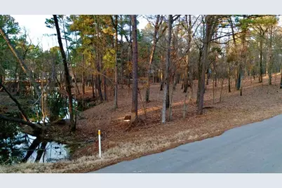 Tbd Hickory Trail #(11D), Flint, TX 75762 - Photo 2