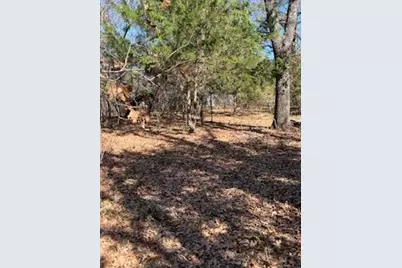 Lot 15,16 Loper Drive, Streetman, TX 75859 - Photo 14