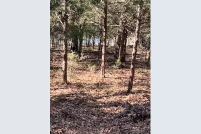 Lot 15,16 Loper Drive, Streetman, TX 75859 - Photo 10