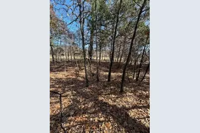 Lot 15,16 Loper Drive, Streetman, TX 75859 - Photo 6