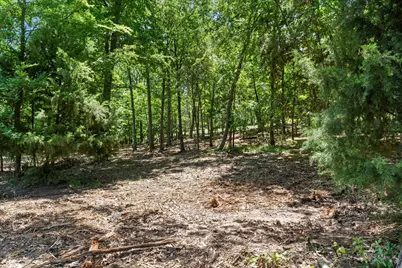 66R King Frederick Court, Scroggins, TX 75480 - Photo 12