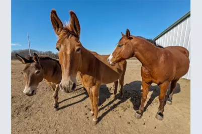 459 Private Road 2625, Decatur, TX 76234 - Photo 40