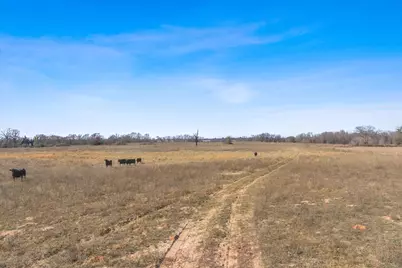Tbd Vz County Road 2317 Tract 6, Canton, TX 75103 - Photo 28