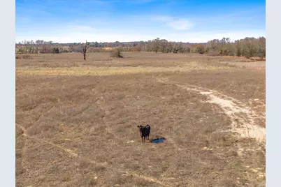 Tbd Vz County Road 2317 Tract 6, Canton, TX 75103 - Photo 24