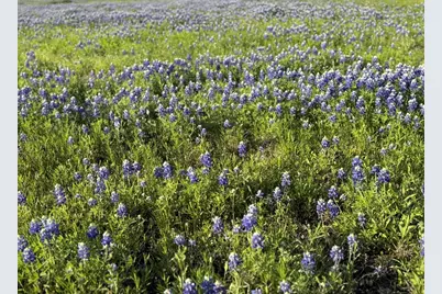 1315 Brandon Court, Royse City, TX 75189 - Photo 38