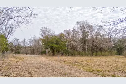 1411 Van Zandt County Road 2139, Wills Point, TX 75103 - Photo 8