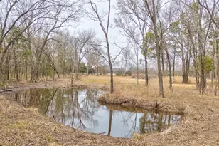 1411 Van Zandt County Road 2139, Wills Point, TX 75103 - Photo 1