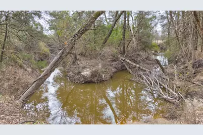 1411 Van Zandt County Road 2139, Wills Point, TX 75103 - Photo 2