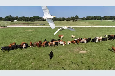 P2L14 County Road 463, Mexia, TX 76667 - Photo 8