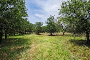 26 02 Ac N Fm 129, Santo, TX 76472 - Photo 1