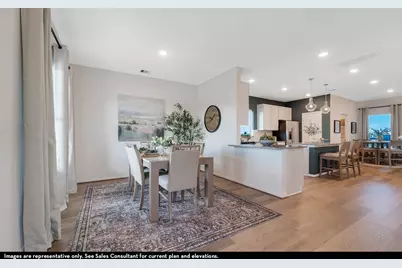 1428 Bramante Street, Celina, TX 75009 - Photo 6