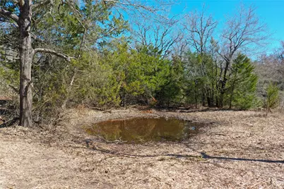 Tbd Fcr 640, Teague, TX 75860 - Photo 8