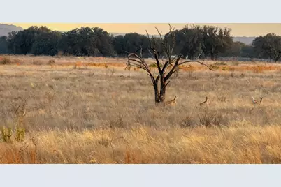 Tbd Cr 2200, Hico, TX 76457 - Photo 4